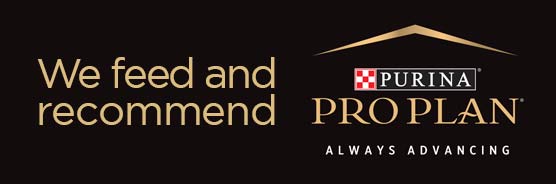 We feed and recommend Purina Pro Plan